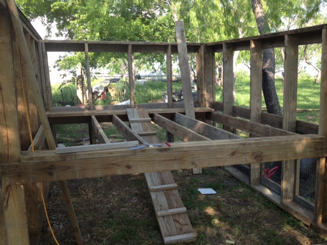Frame work for the coop.