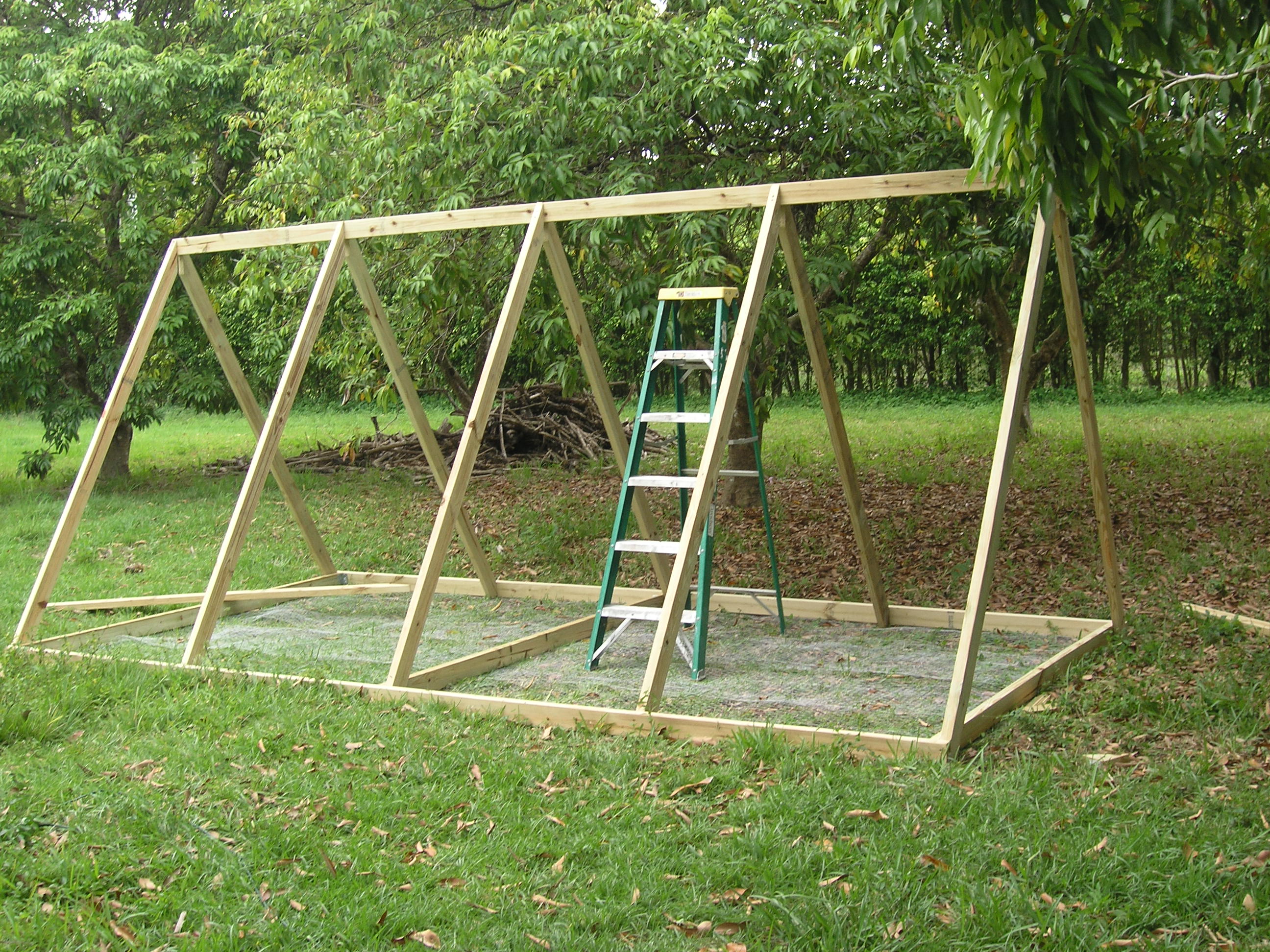 Framing started.  8 x 16 floor.