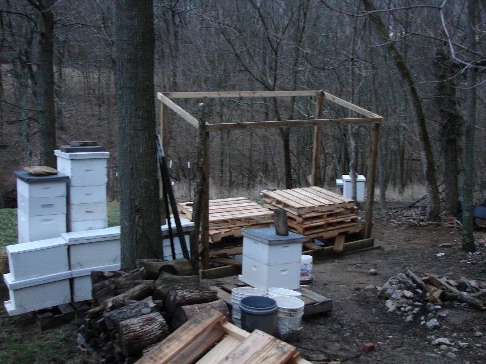 Framing started.