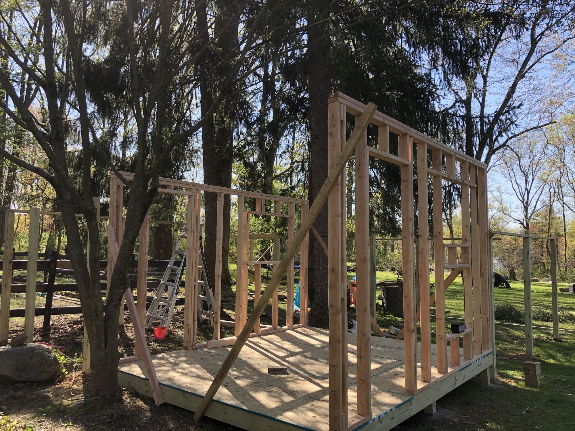 Framing the coop
