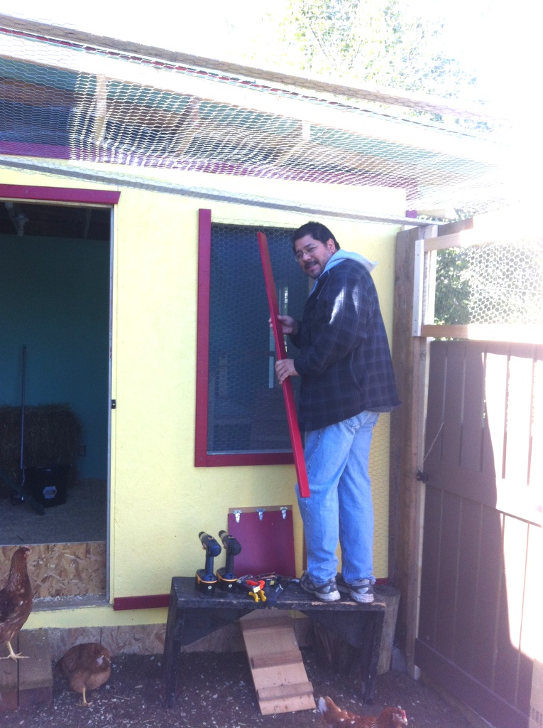 Framing the last window- we don't have a window in there yet so it has chicken wire and screen covering it