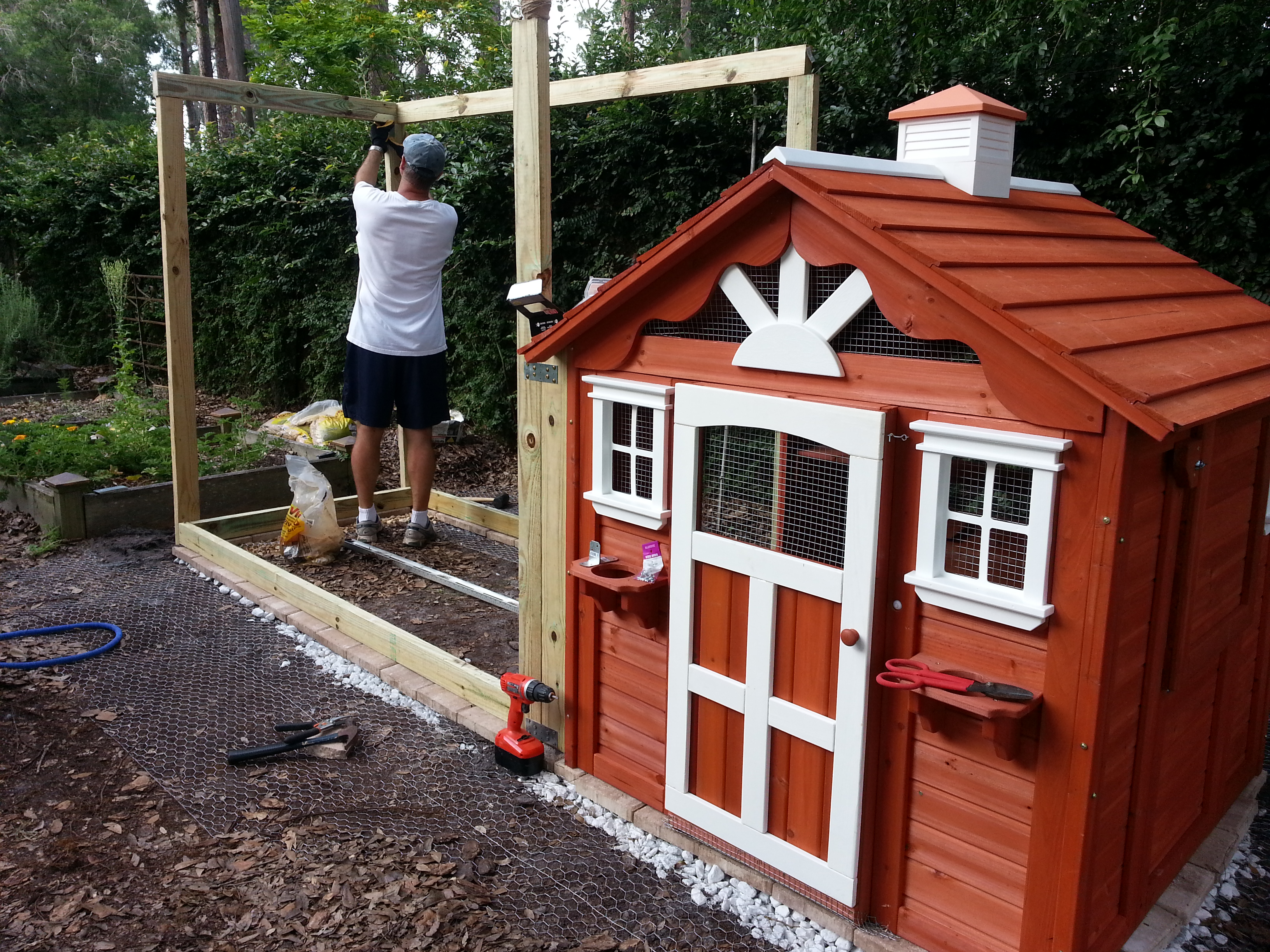 Framing the run...my husband is such a good sport! He does NOT want these chickens! LOL!