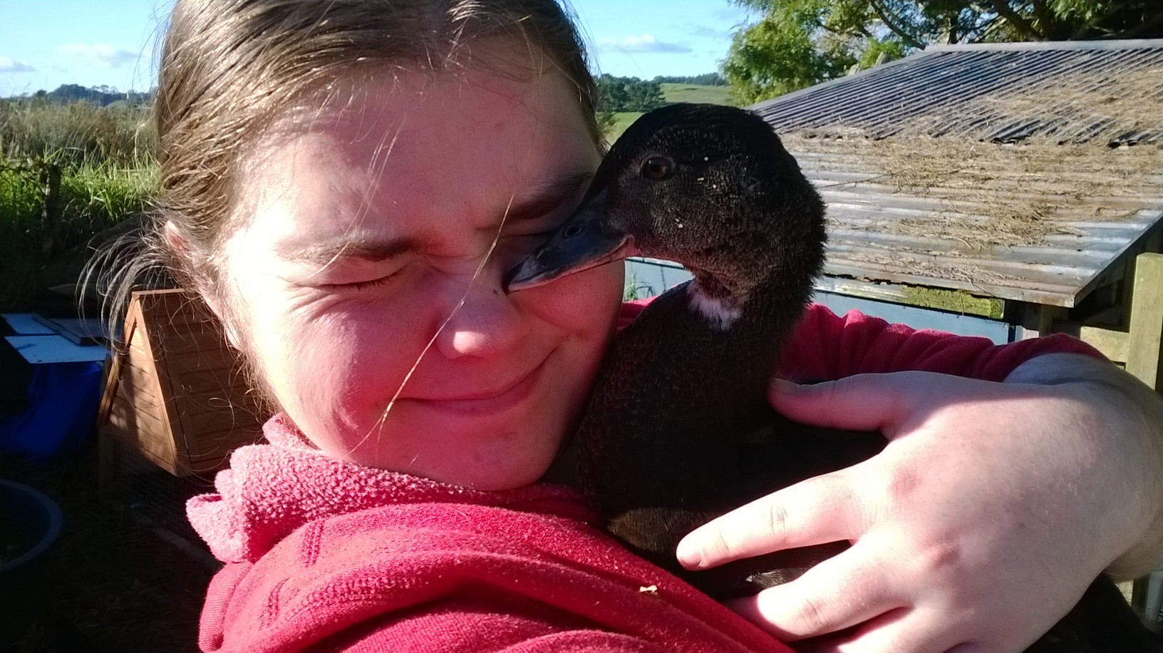 Frankie is my very well-behaved, cute as a button baby. My boss found her alone in a field with her umbilical still attached. She was tiny! Growing into a beautiful little duck :)