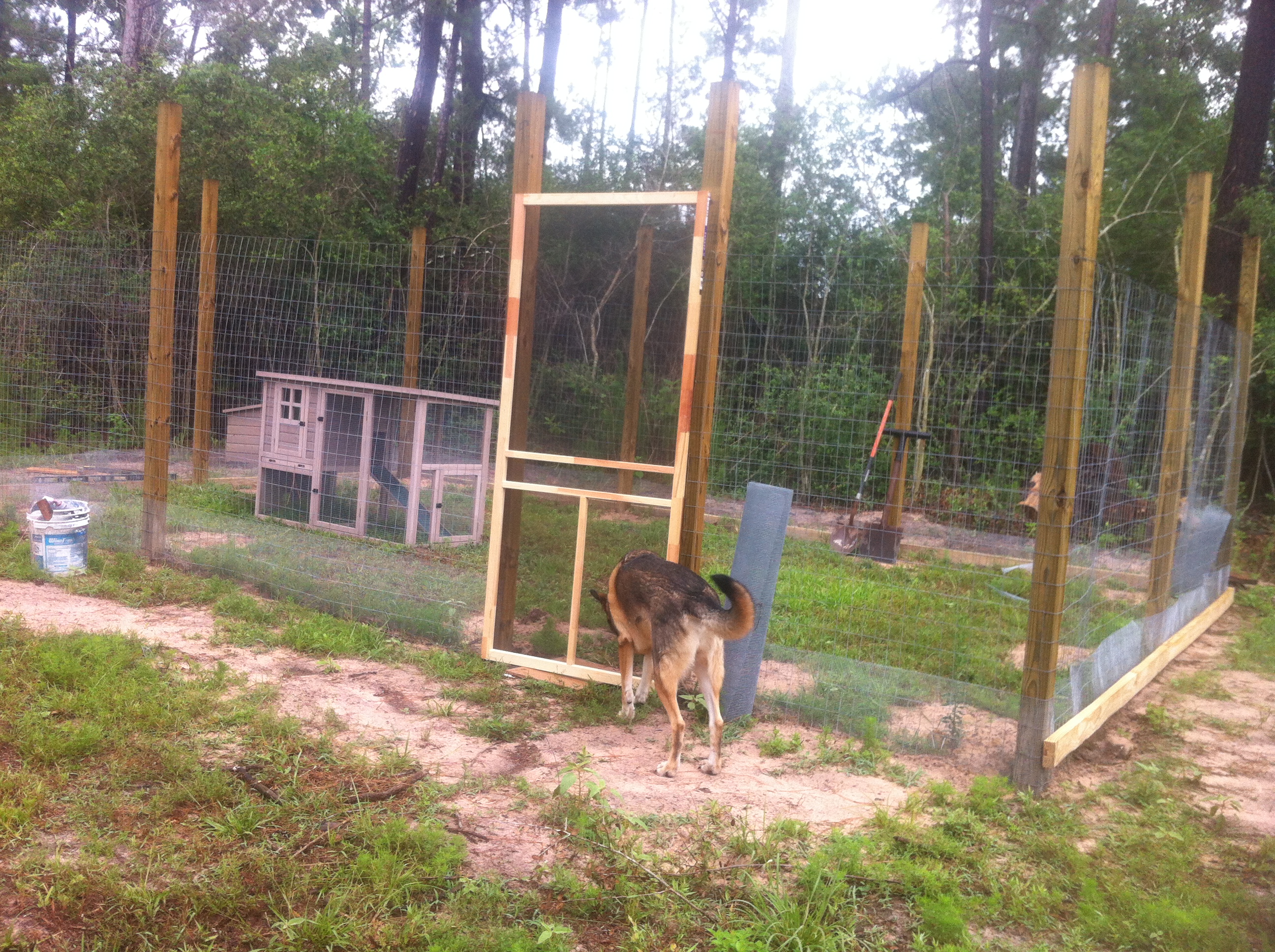 Fred inspects the screen door.  Its not installed yet, Fred!