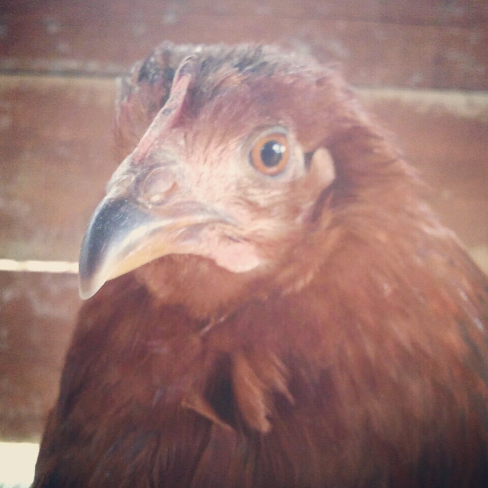 Fred is also photogenic.