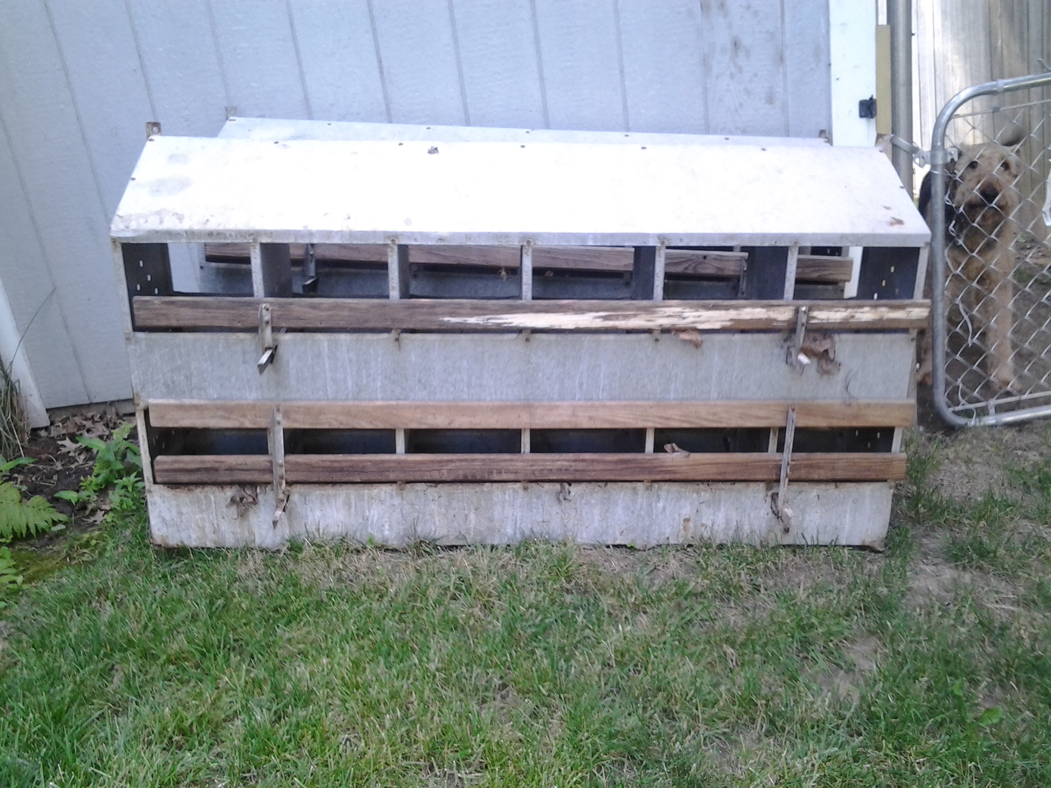 Free metal 12 nest boxes x 2 given to me by my mother.  They need cleaning up and wood on back replaced, but other than that trying to figure out how best to incorporate them.  I do NOT plan on having enough hens to utilize these boxes, so I'm beginning to wonder if they're even worth incorporating....

Back side view