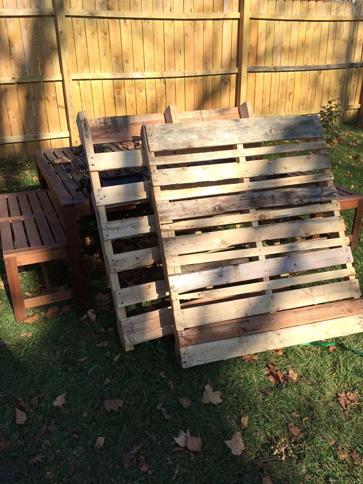 Free pallets! 
Nov 6 2014