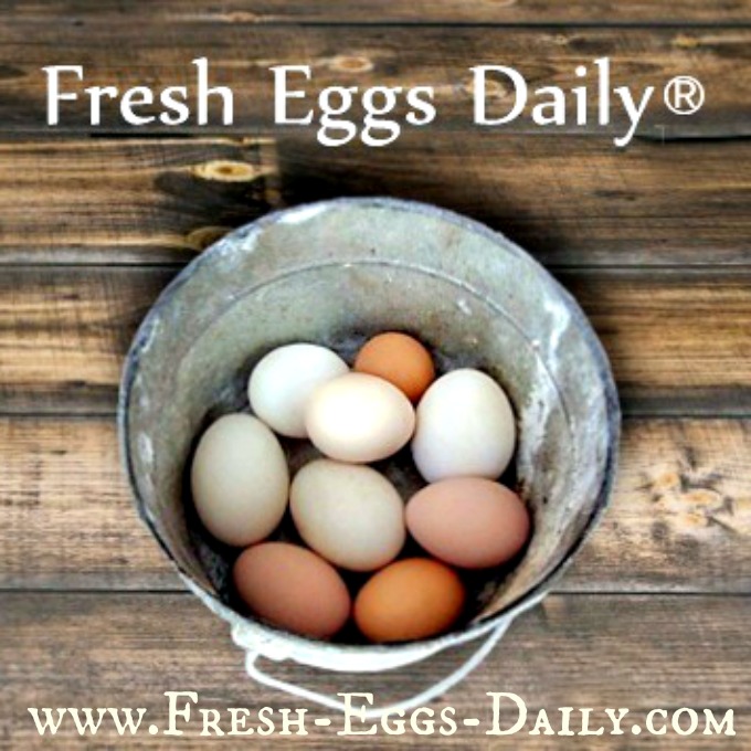 Fresh Eggs Daily