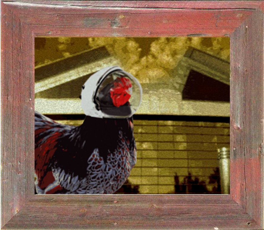 Fresno City Hall.... Spaceship Chicken
Chickens are the Future!
