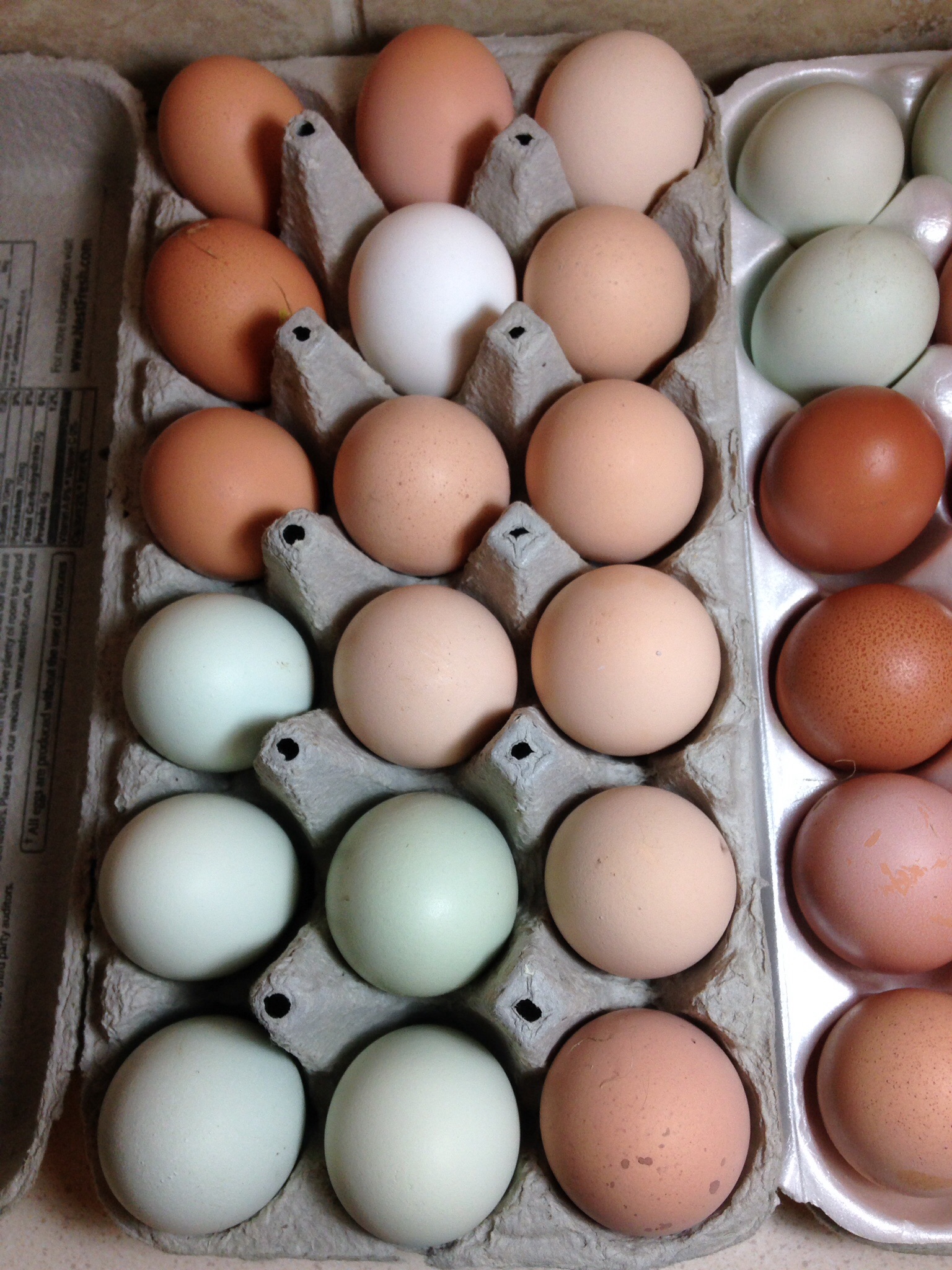 Friends borrowed white egg against our own.