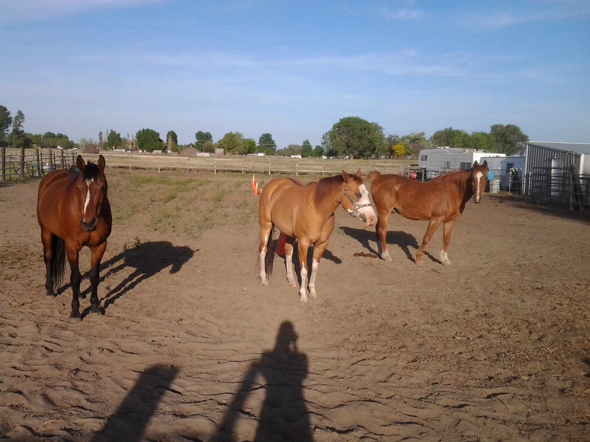 From left to right: Emma, Dee, and Khlassi