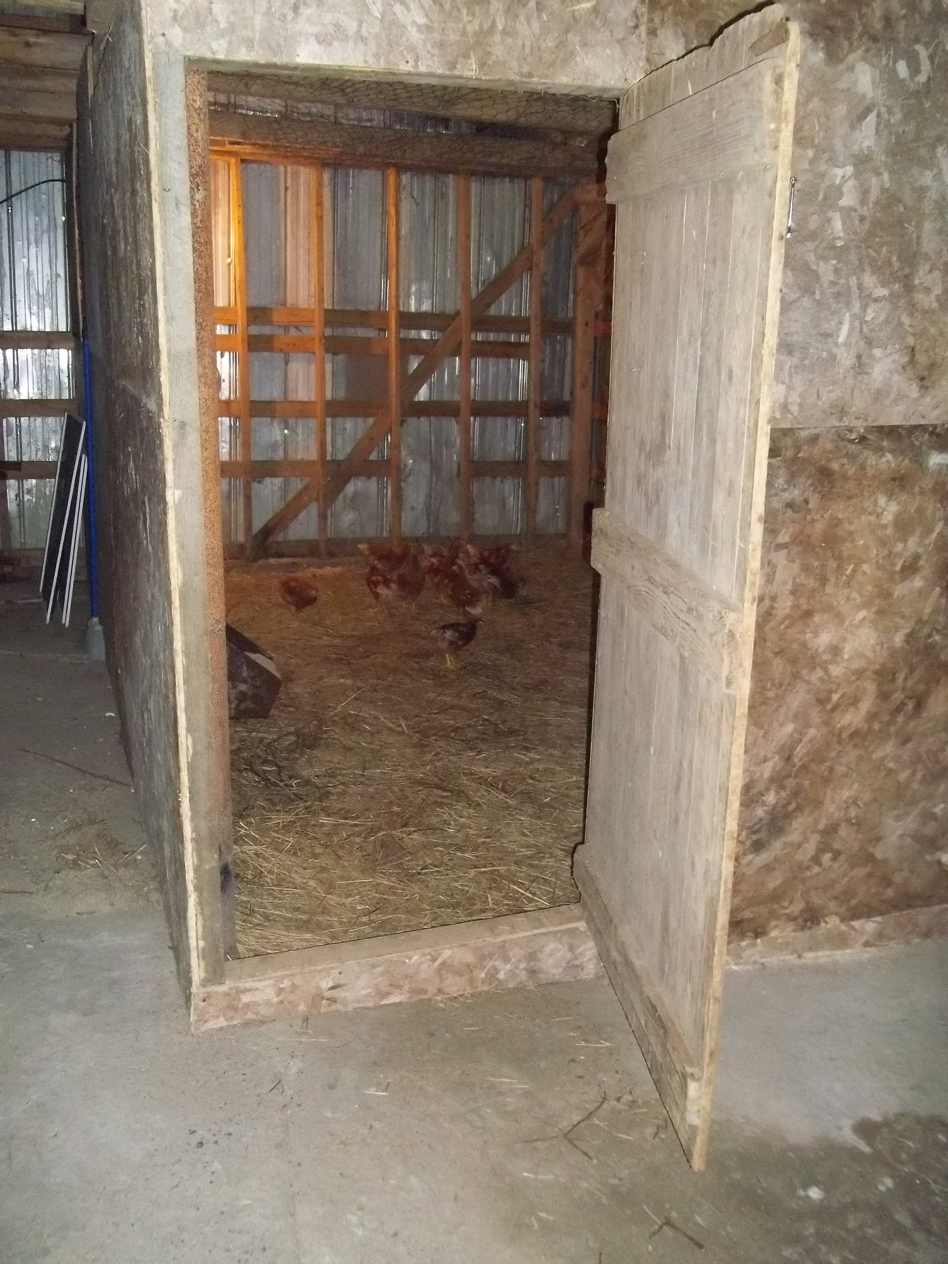 From outside the coop