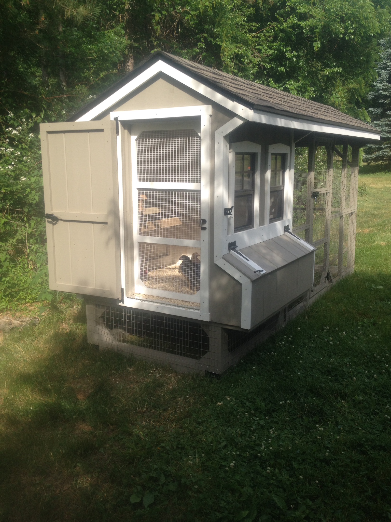 From Smuckers Coops in Lancaster, PA. Really awesome quality work, would definitely go back to them for additional coops.