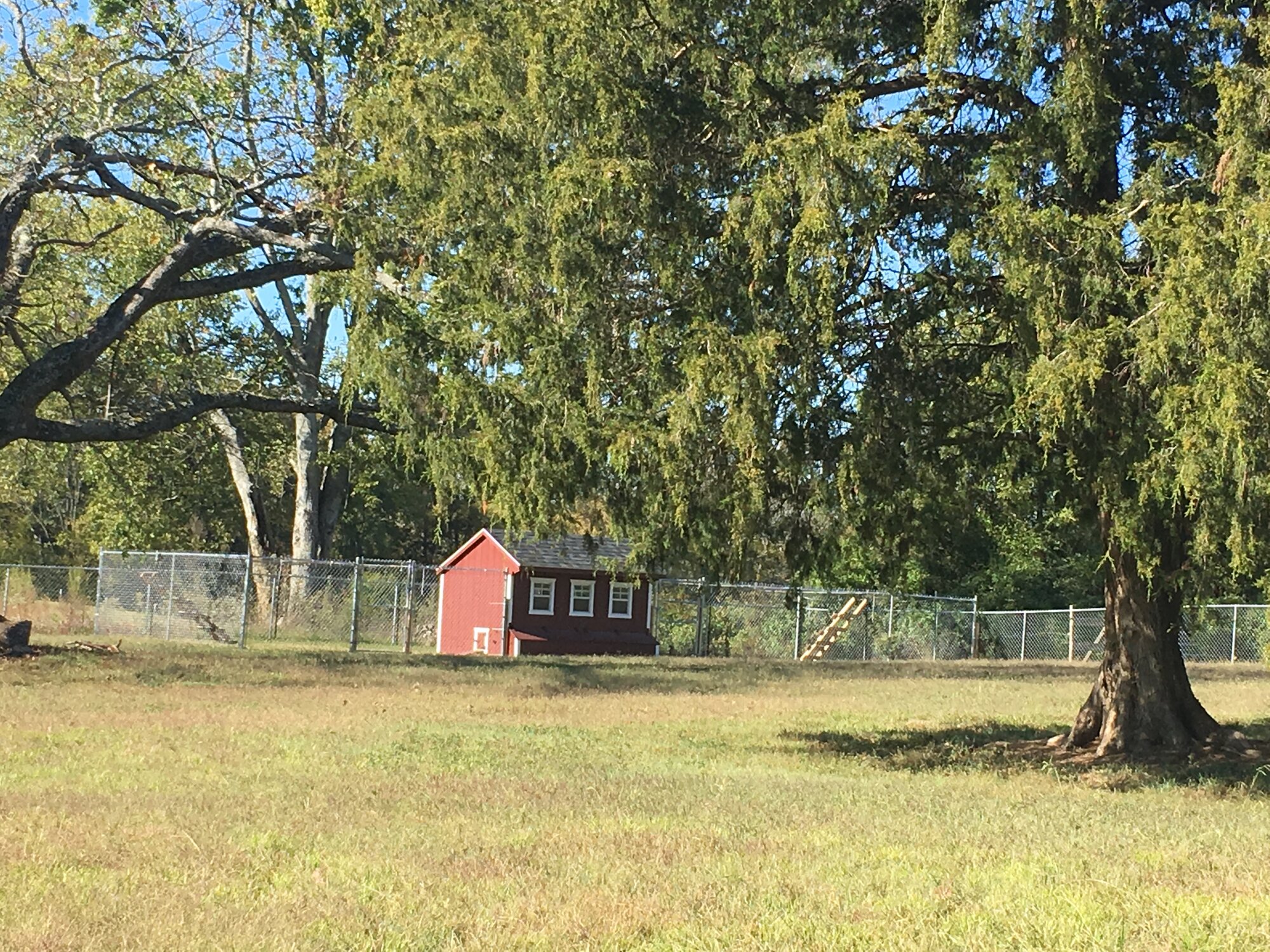 From the field