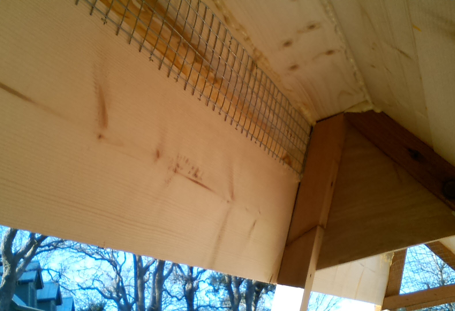 from the nesting box