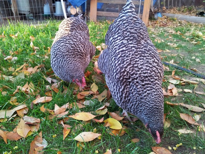 from their angle
