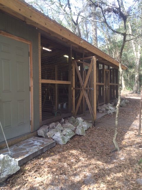 Front of coop with boulders , nothing has been able to dig under
