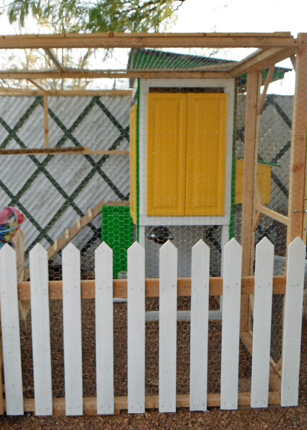 Front of coop.