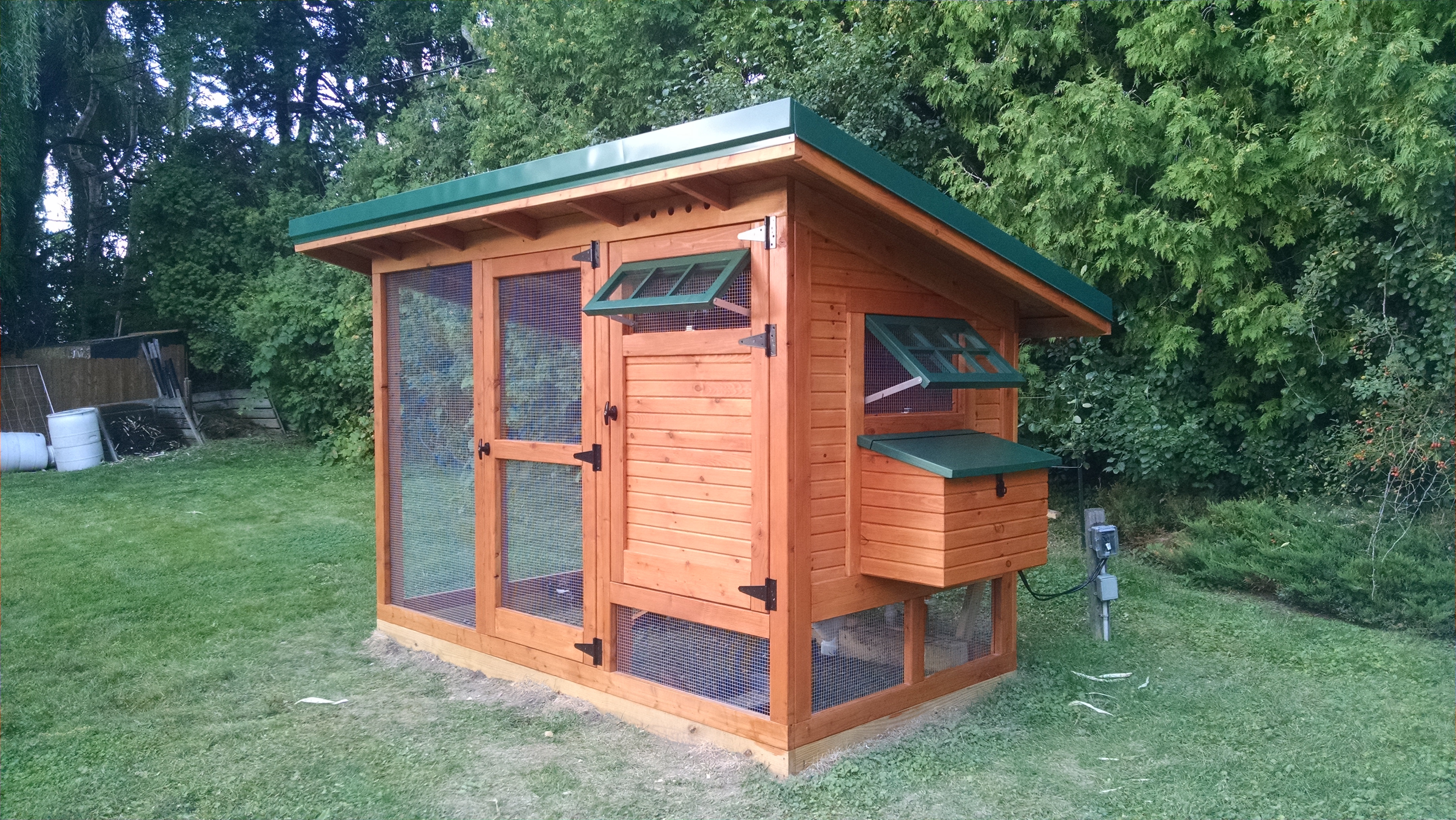 front of coop