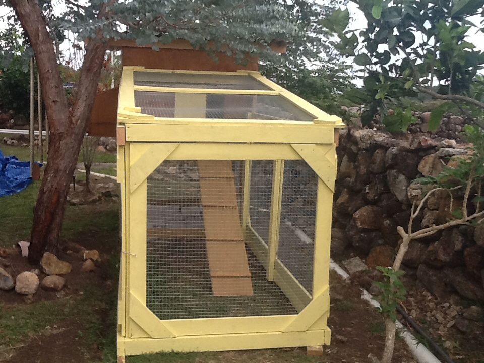 Front of run.  Front opens, as well as the top of the run, which lifts for head clearance.