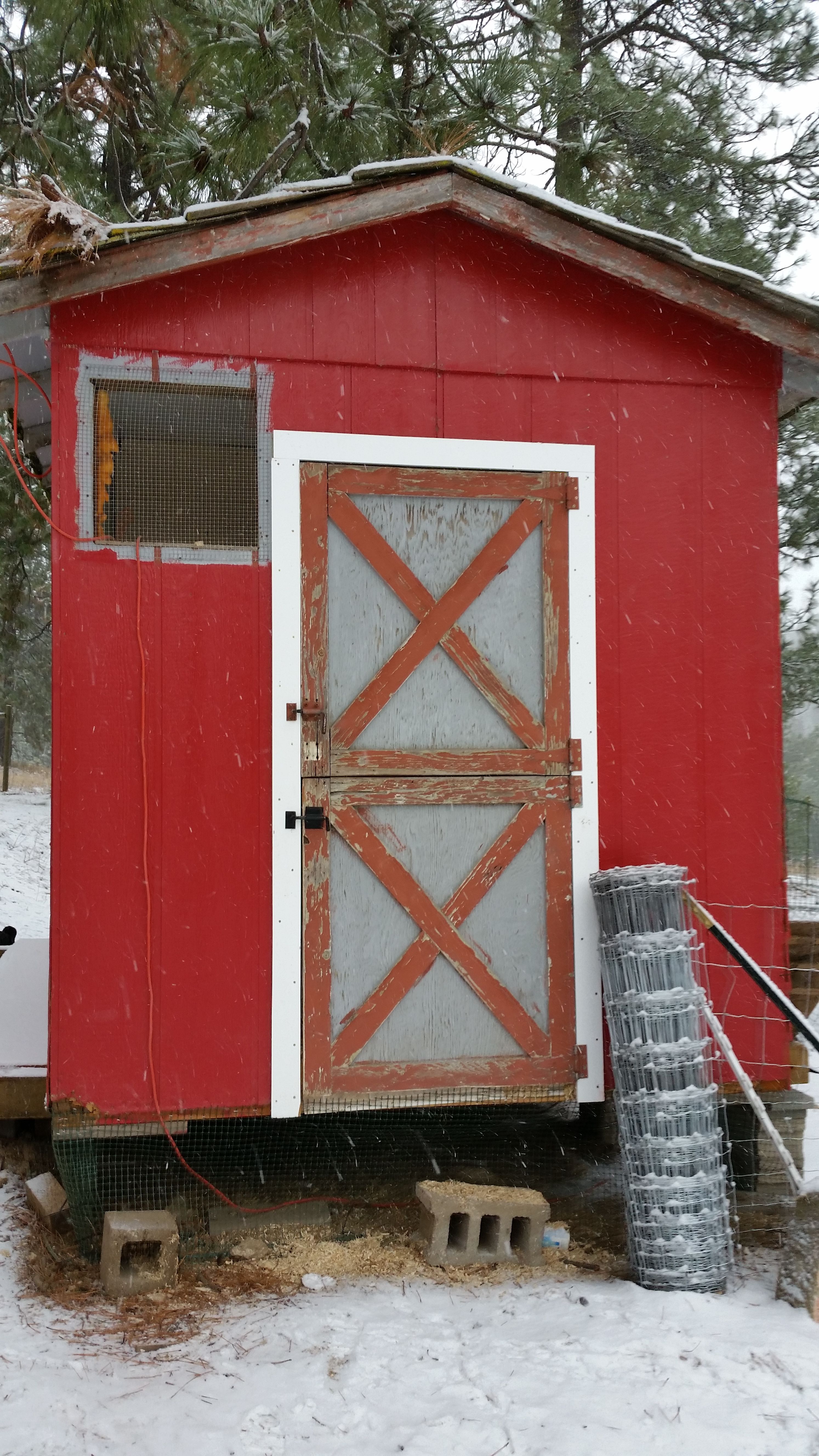 Front of the coop, this entrance leads into a 3x8 broody hen room where chicks are hatched.  We will finish the outside in the spring and also run proper electricity.