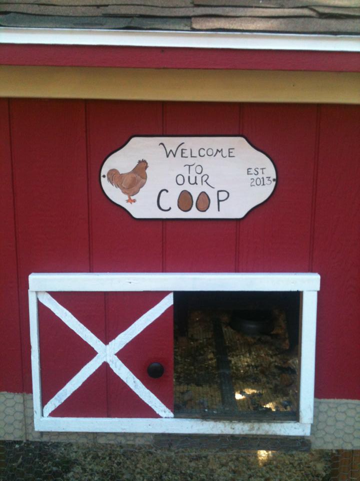 Front of the coop