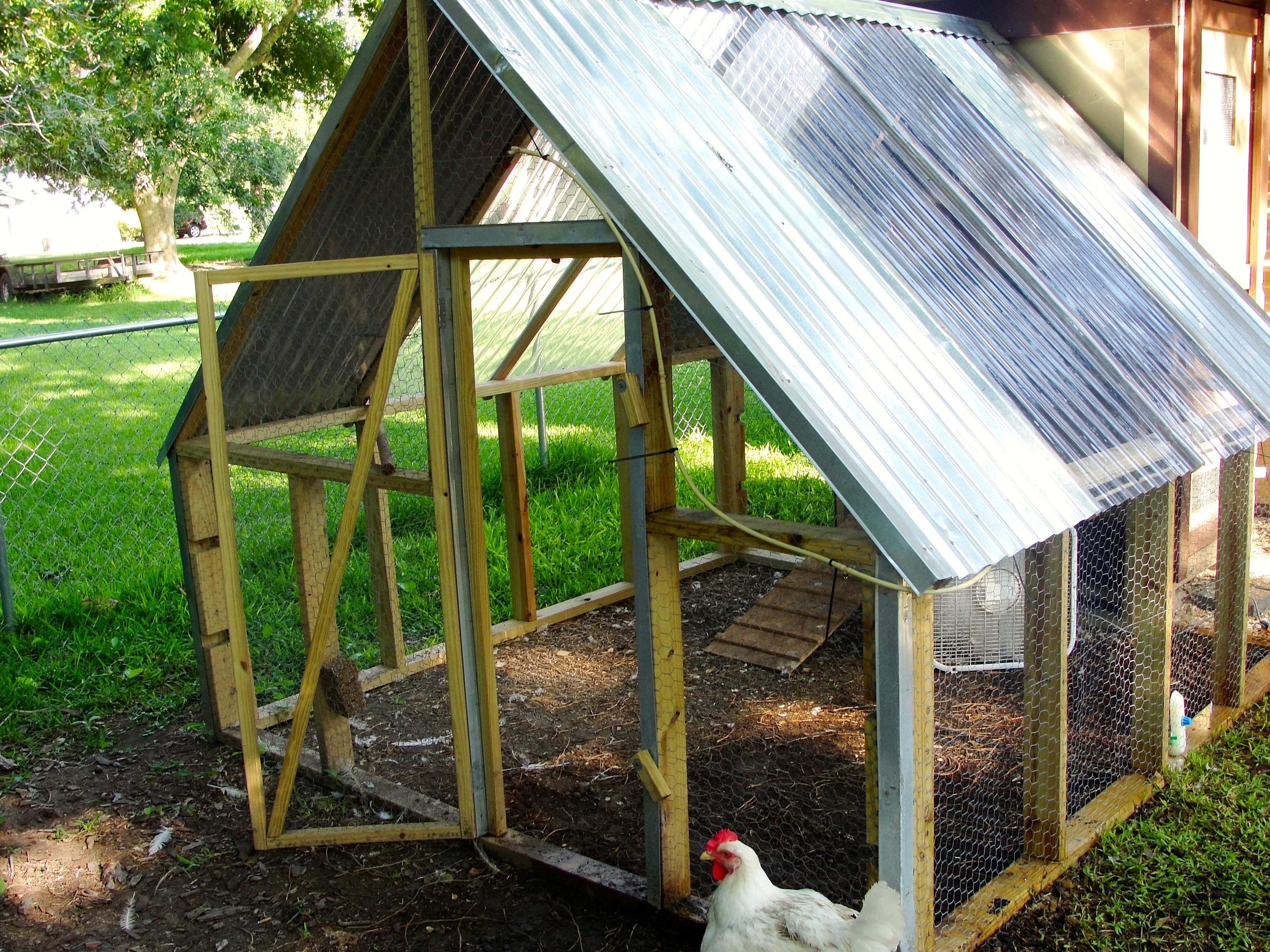 front of the pen/run, all of the run we designed and built.