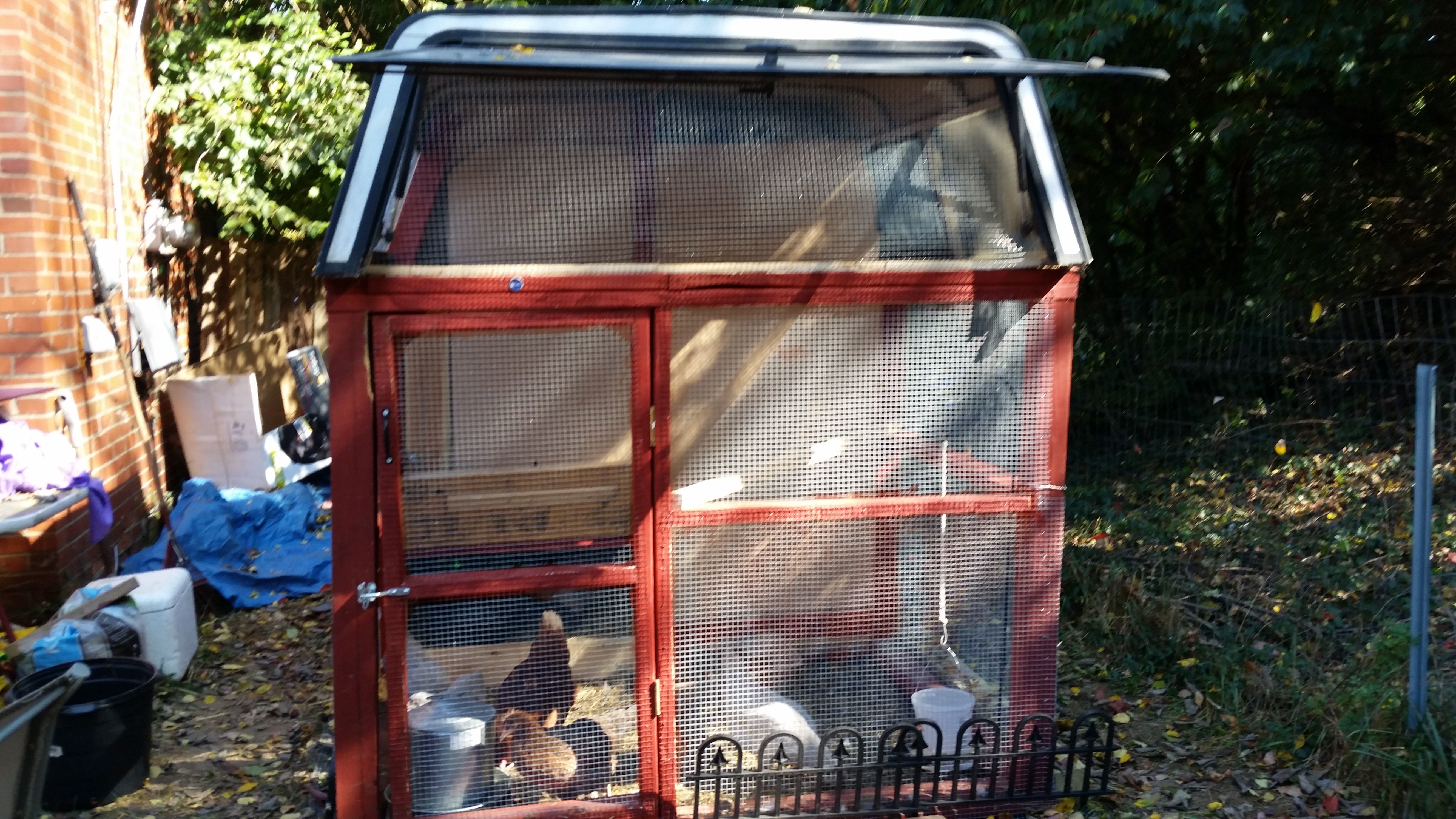 Front of truck bed topper with chickens in run