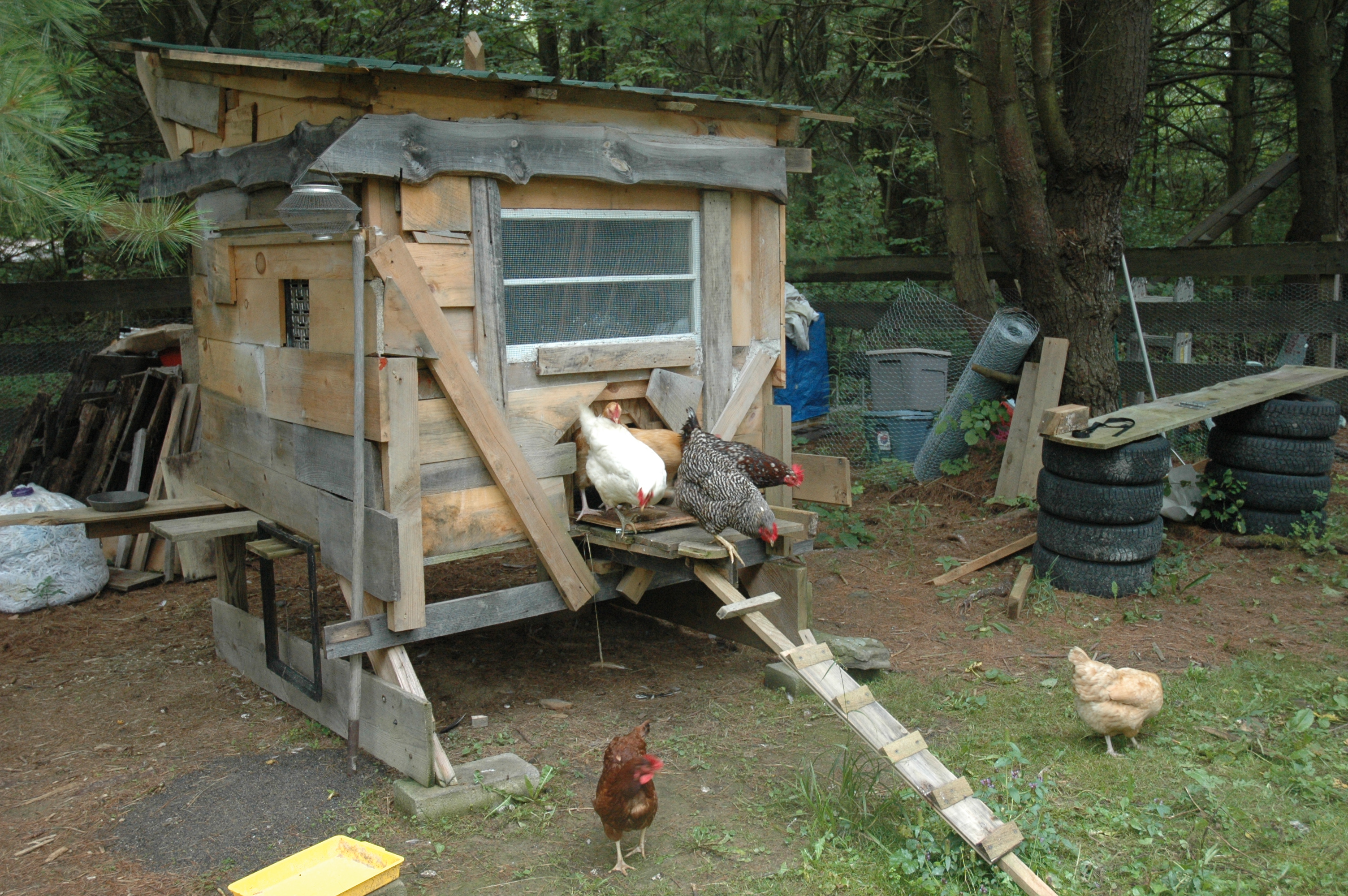 front view, coop