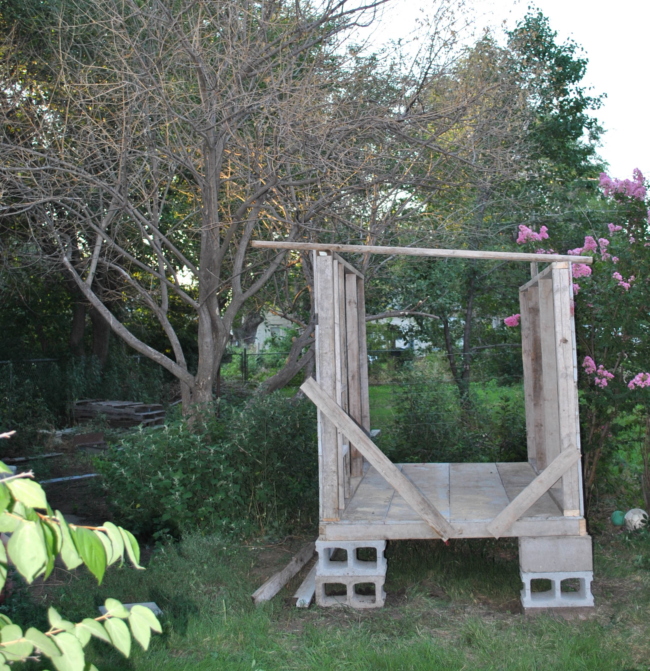 Front, view from the house. South side