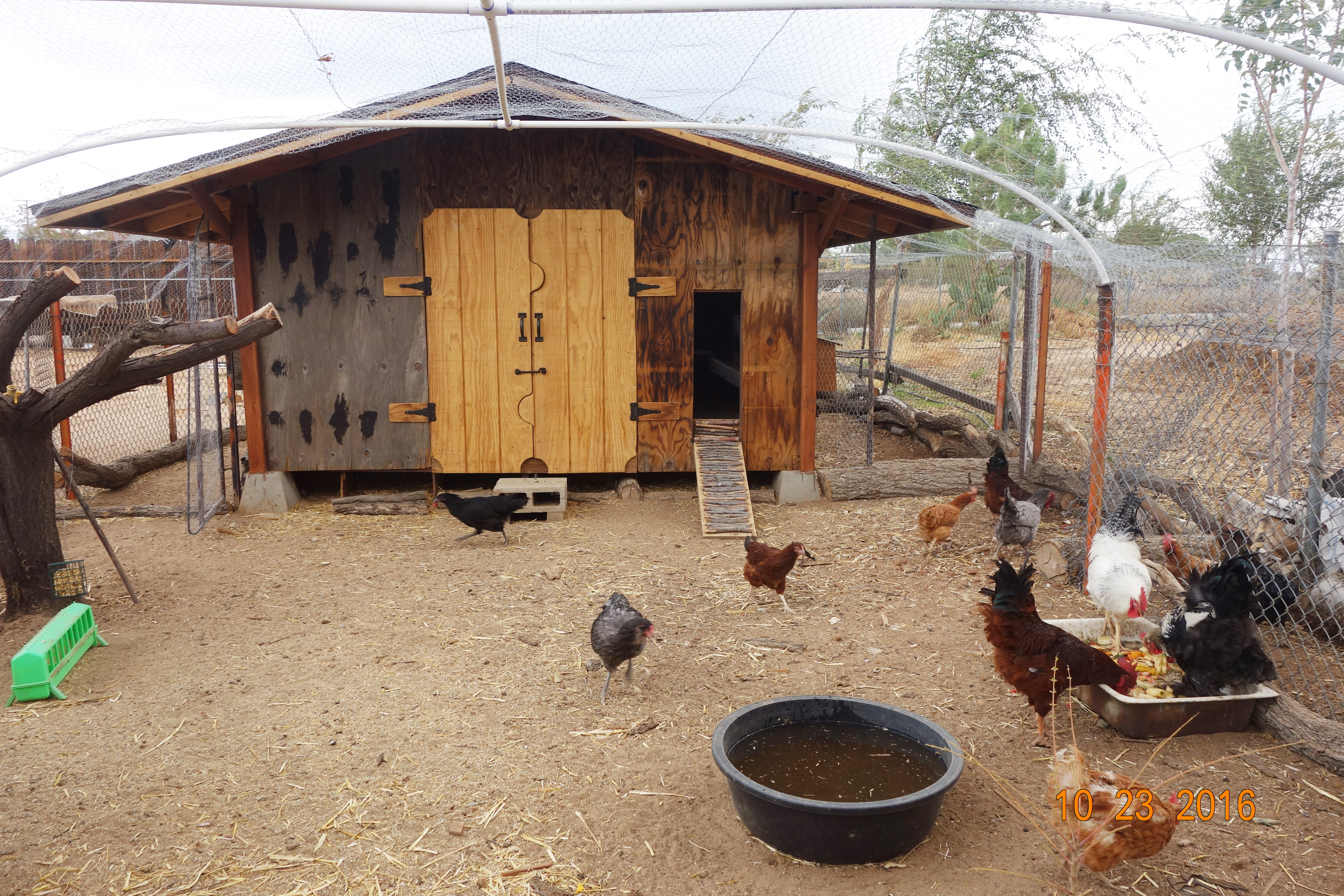 Front view of coop before it was stained.