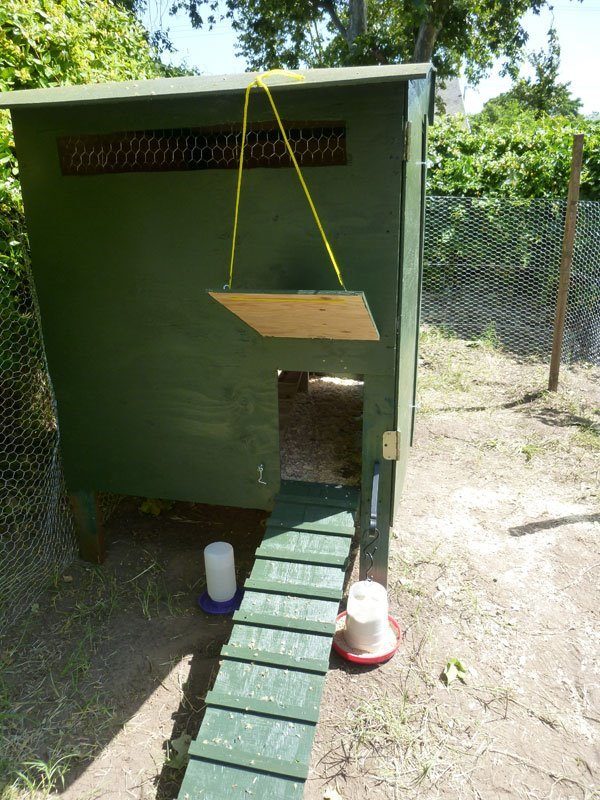 Front view of coop
