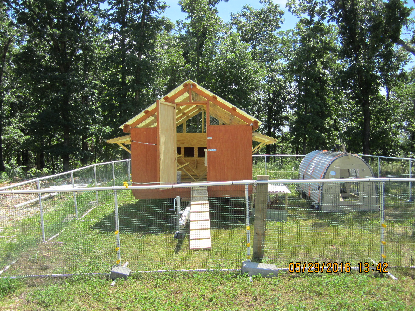 Front view with ramp in for the chicks and guinea's. Also above ground fencing electrified with solar powered fencer.  Older smaller chicken tractor which has been out grown by the flock. The guineas were trained to use it and the chickens trained to use the new larger coop. Much later on the guinea's decided to join the chickens in the larger coop. The smaller tractor will be for the next upcoming flock in a year or two. lol  As they transition to the larger one.