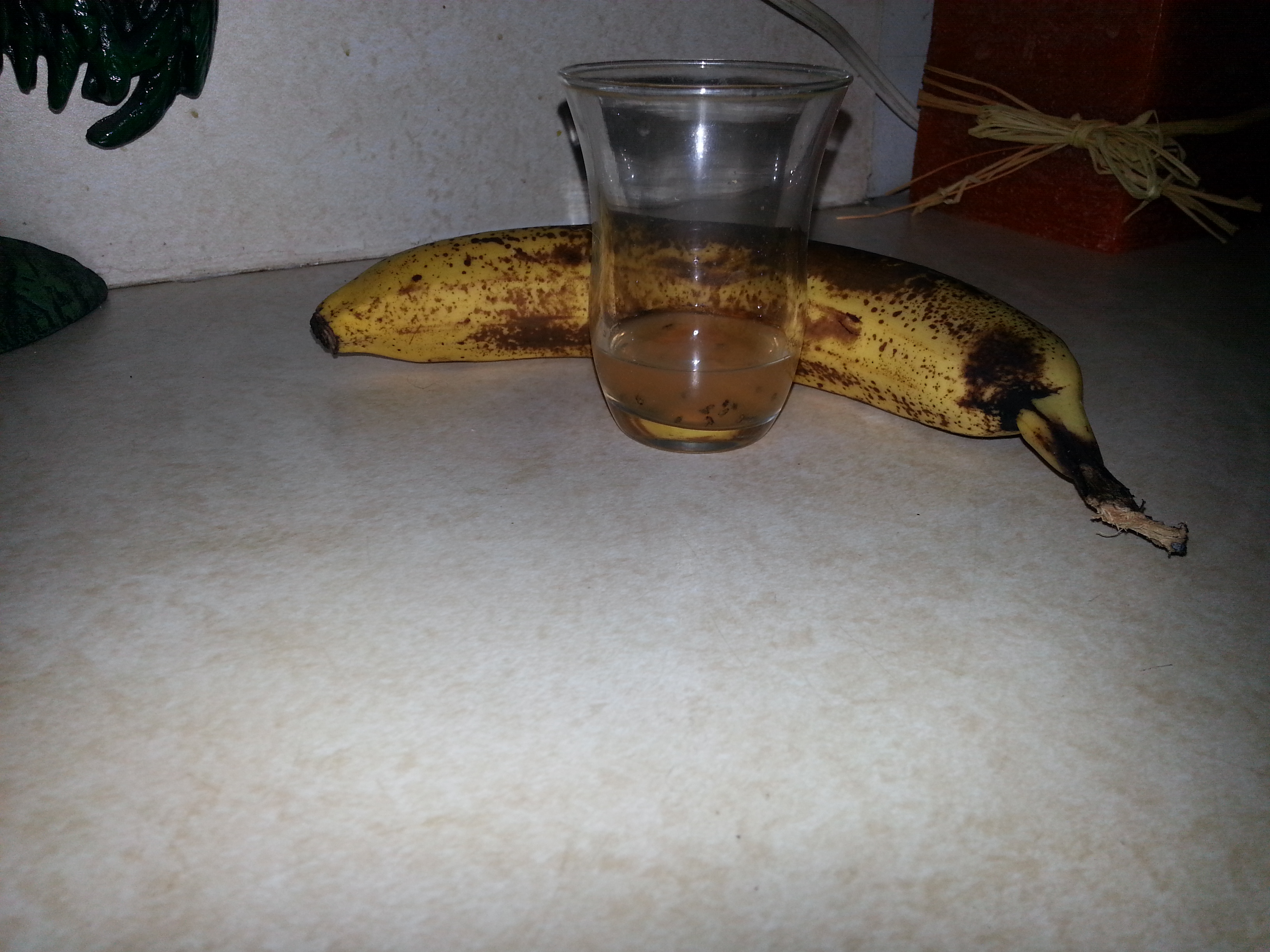 Fruit fly trap: cantaloupe juice and seed fiber from inside the fruit mixed with water and 3 drops of dish soap. The overripe banana upped my capture rate immensely by drawing more flies near.