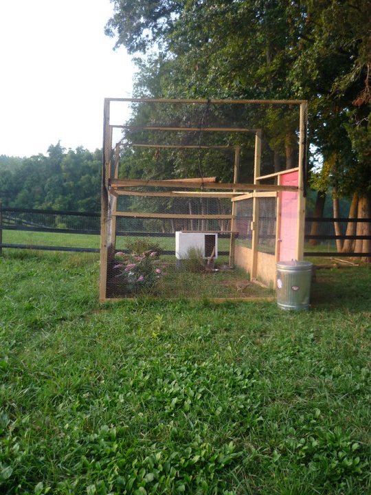 Full view of Aviary 1