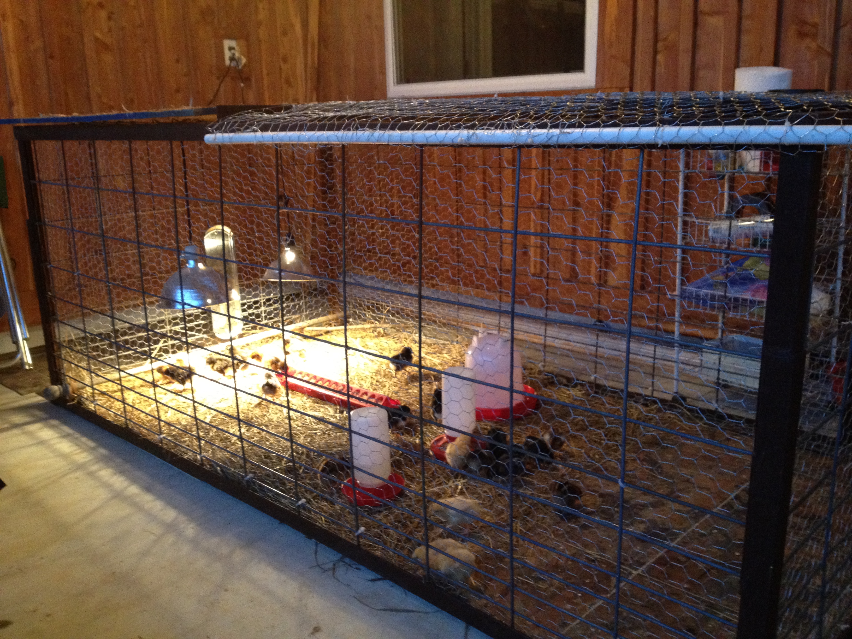 Full view of brooder