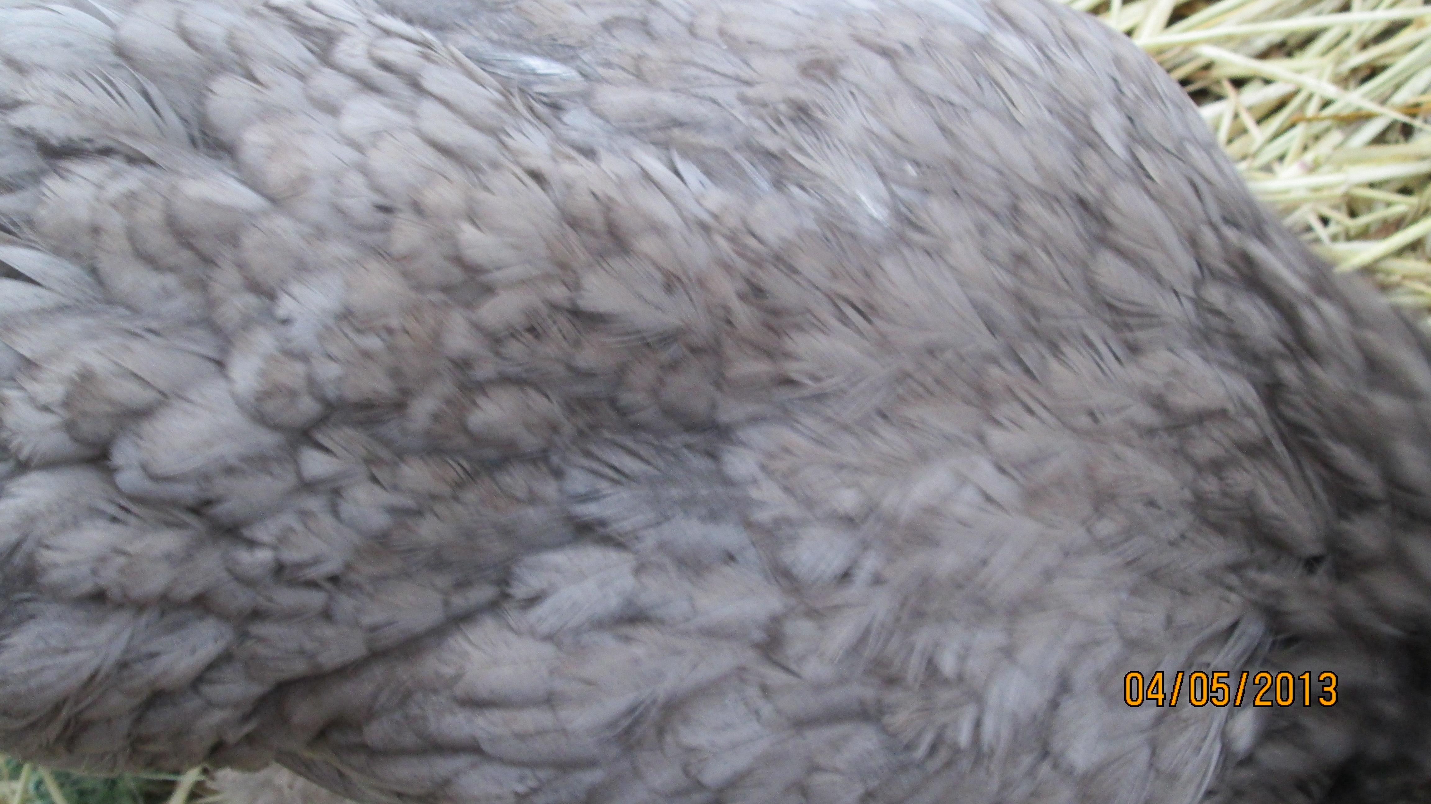 full view of her back