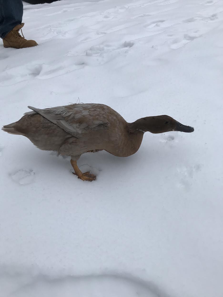 Fun in the snow!