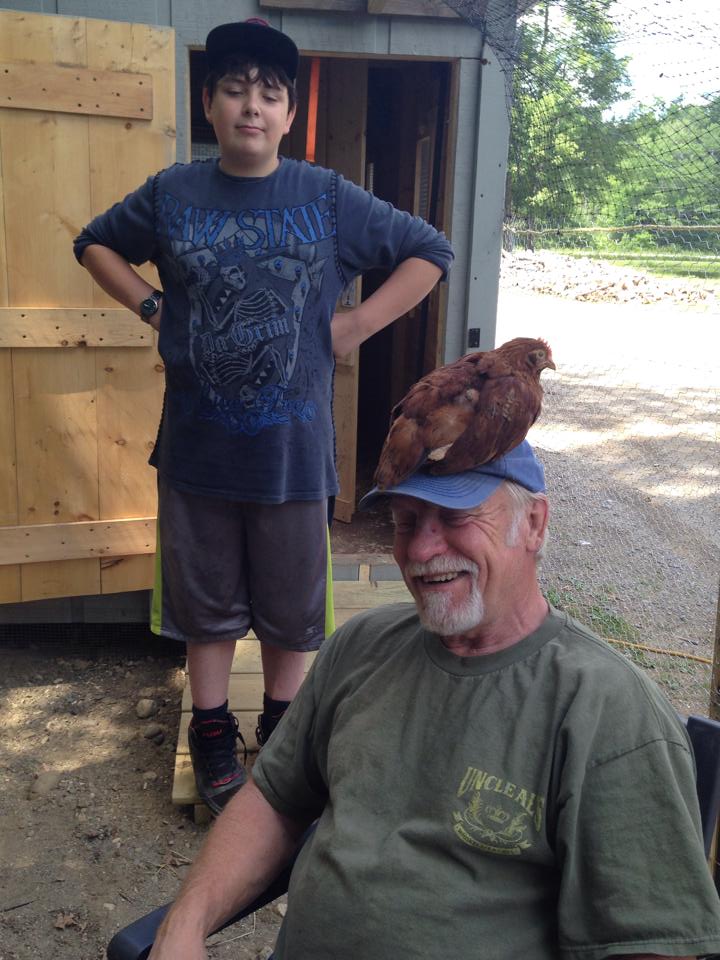 fun with the chickens