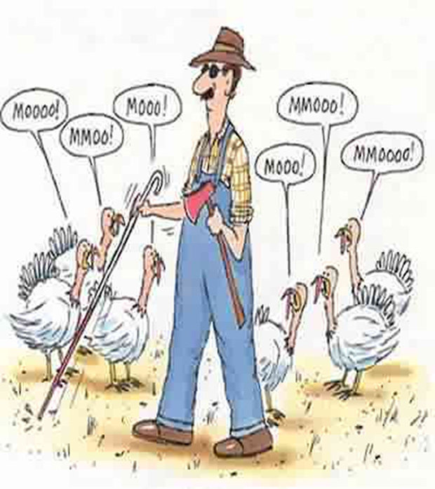 funny stuff