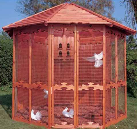 Future Project I would like to build. Only mine will be 12'x12' have only 3 sides screened with 5 larger nest boxes on the remaining panels (app.100sq.ft.)