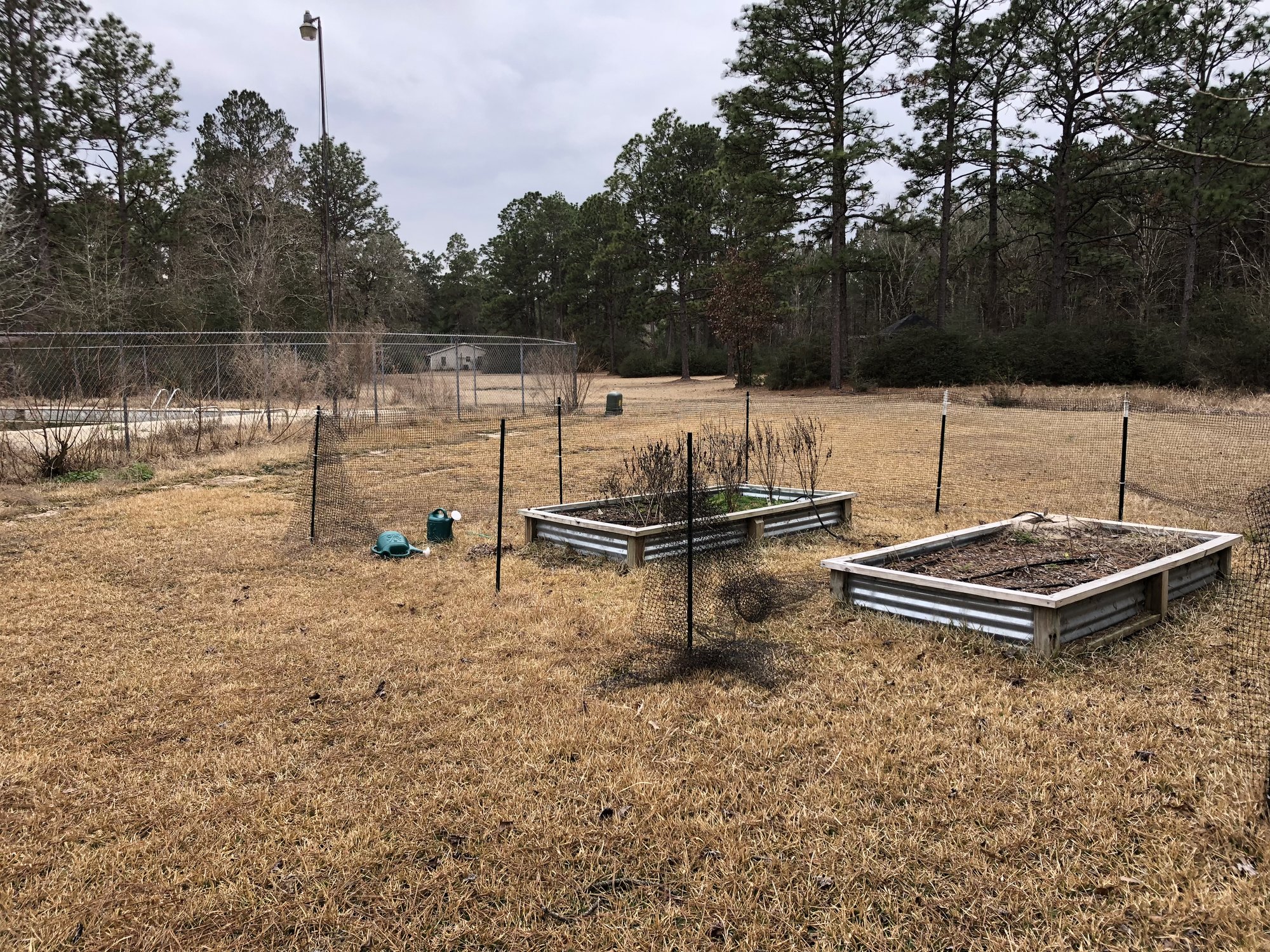 Garden and pool fence