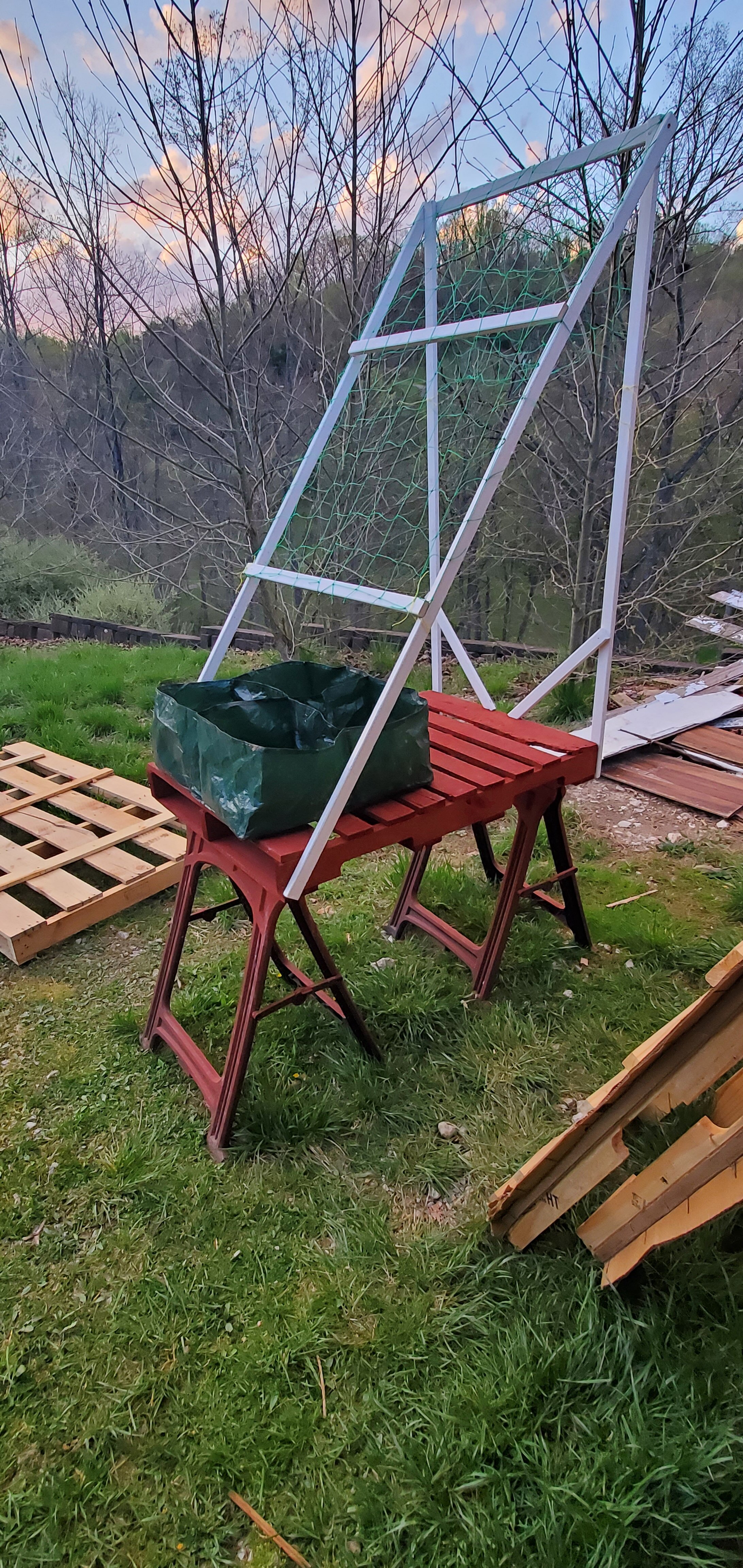 Garden on a Pallet