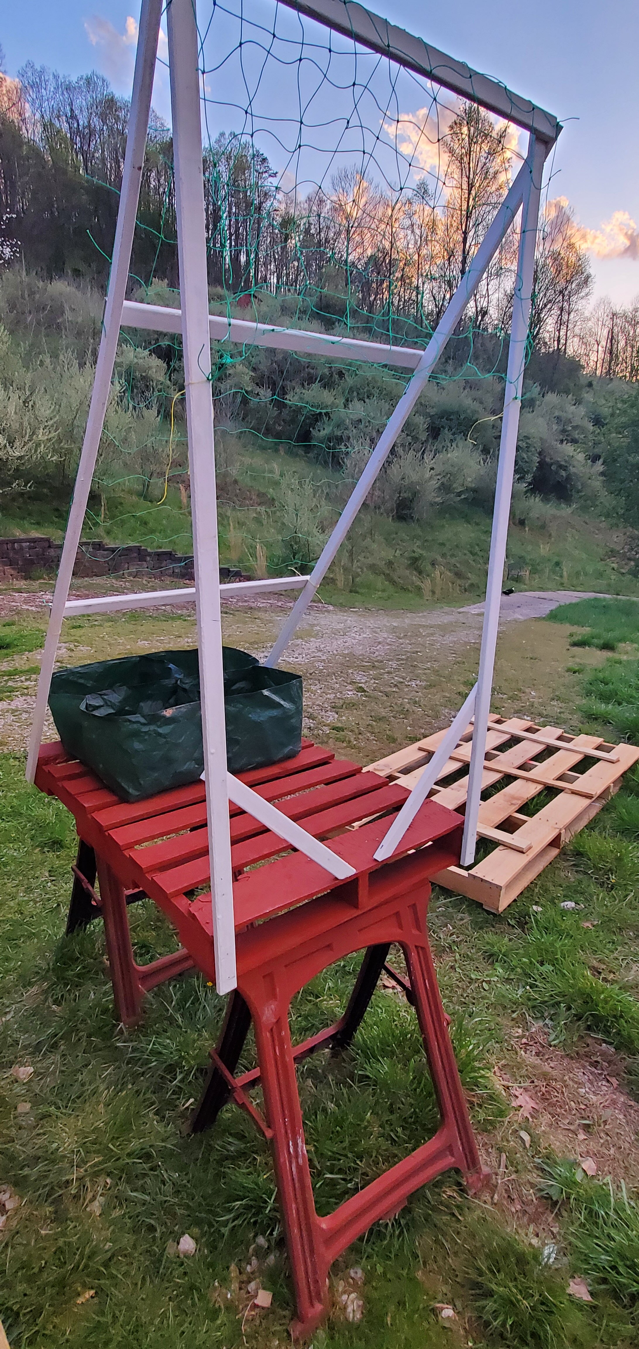 Garden on a Pallet