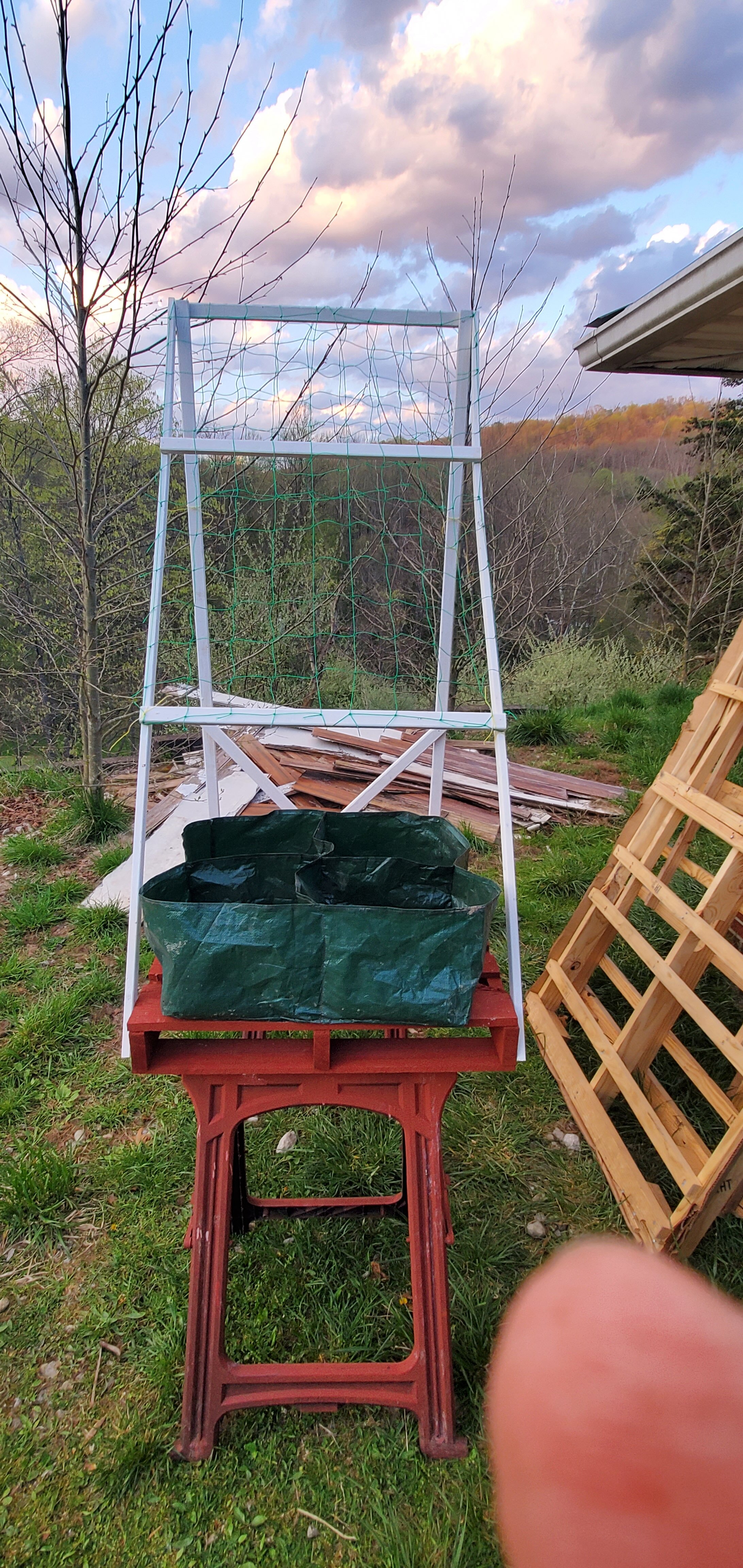 Garden on a Pallet
