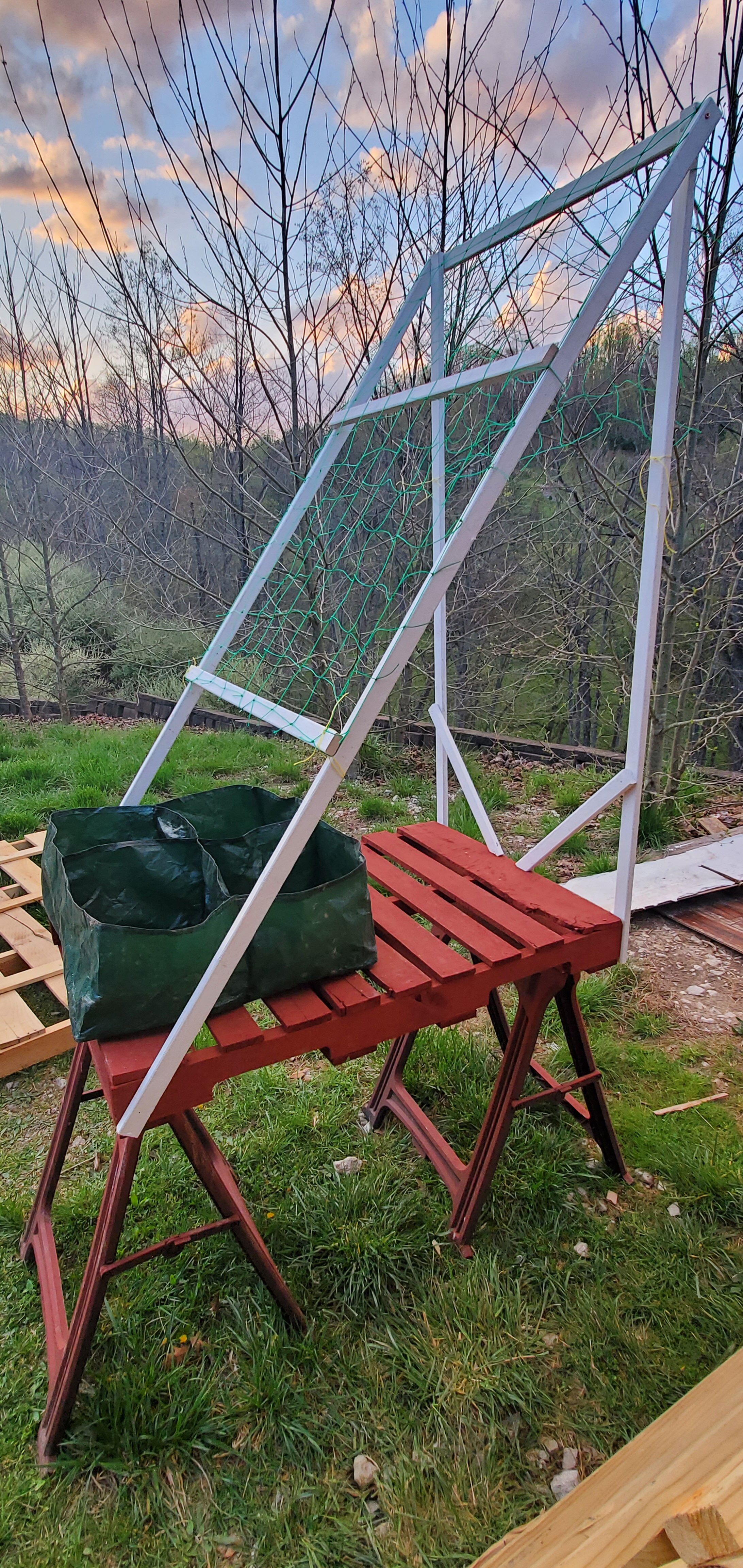 Garden on a Pallet