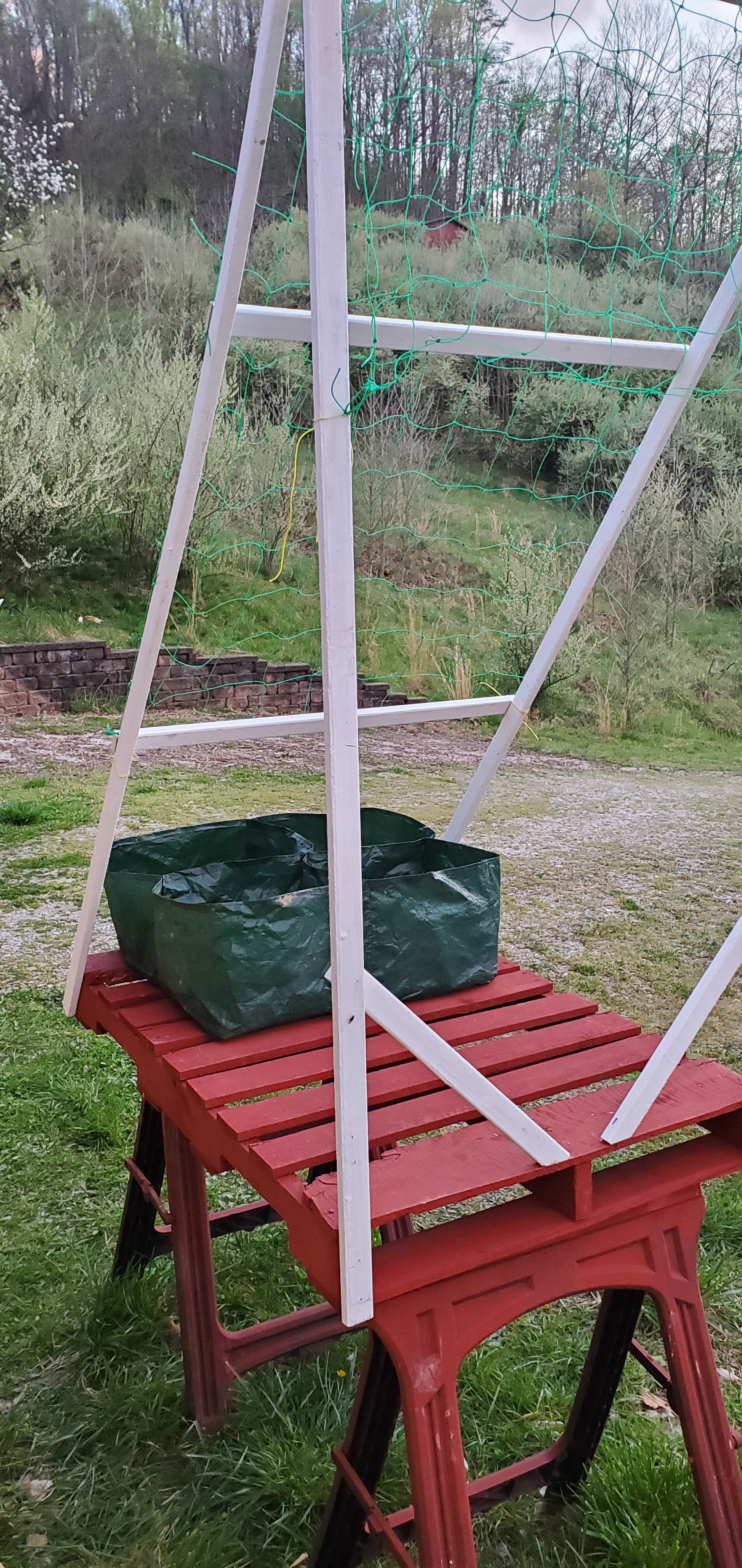 Garden on a Pallet