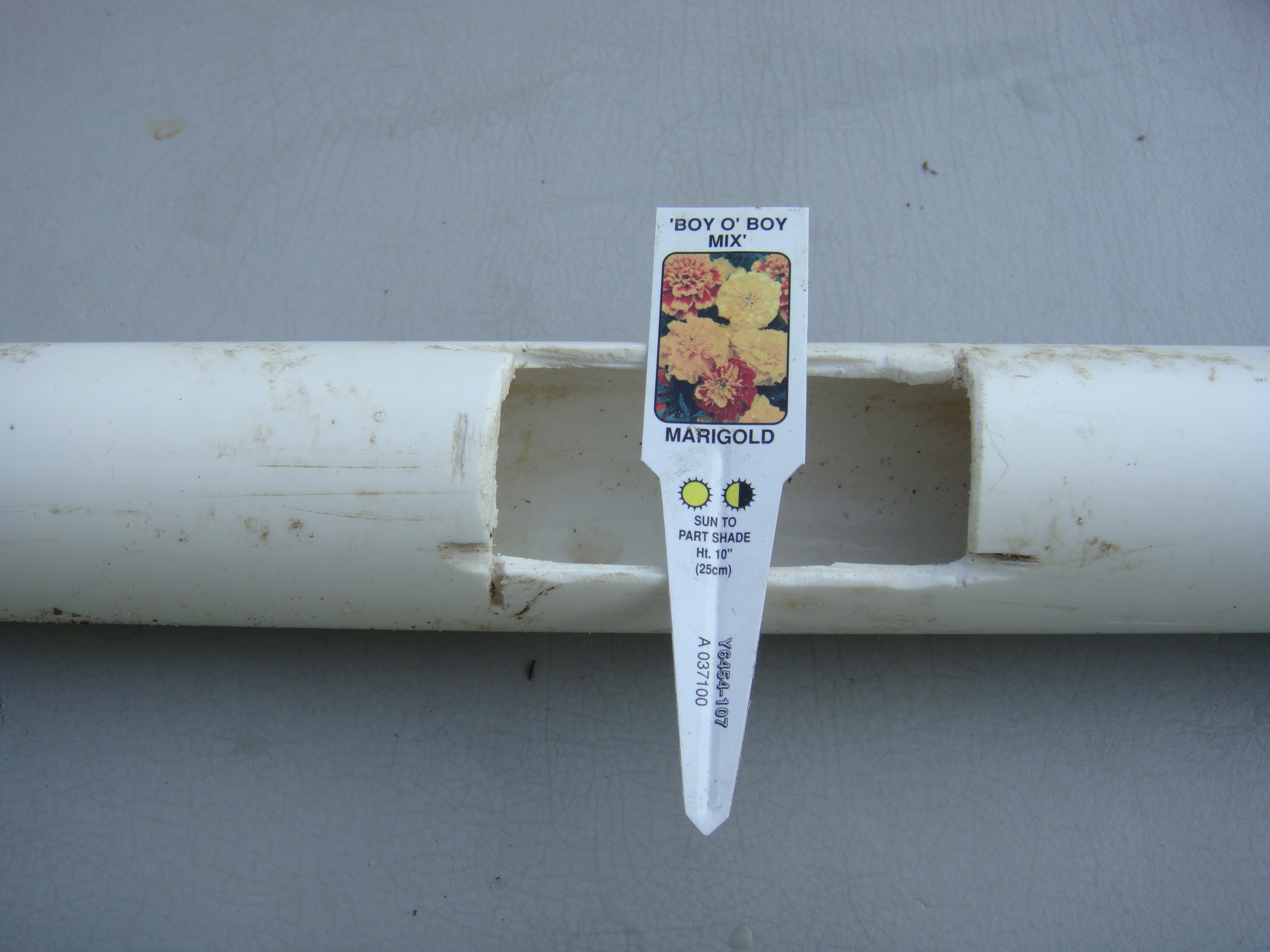 Garden tag for size comparison. We cut a hole about every twenty inches.