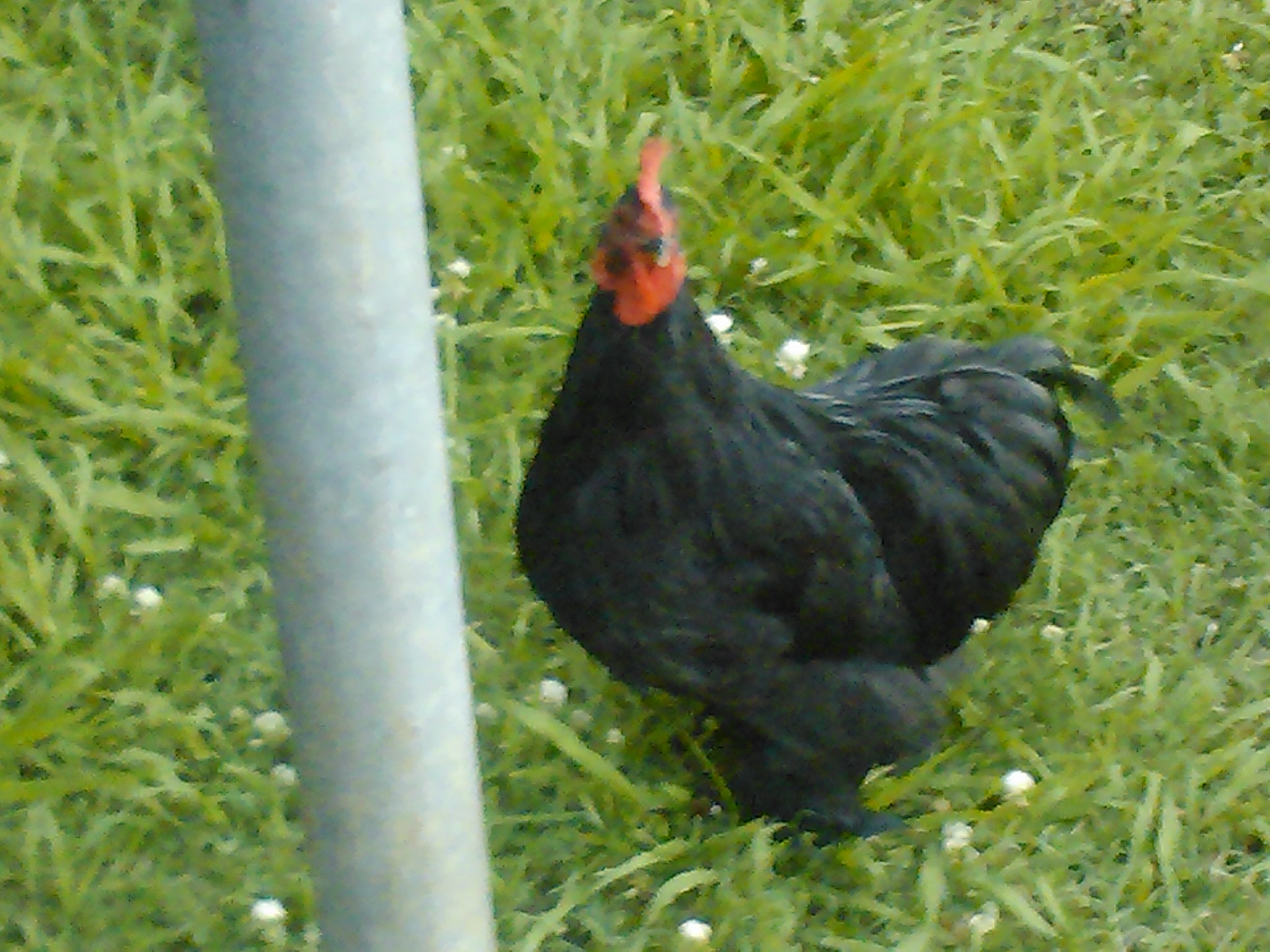 George
