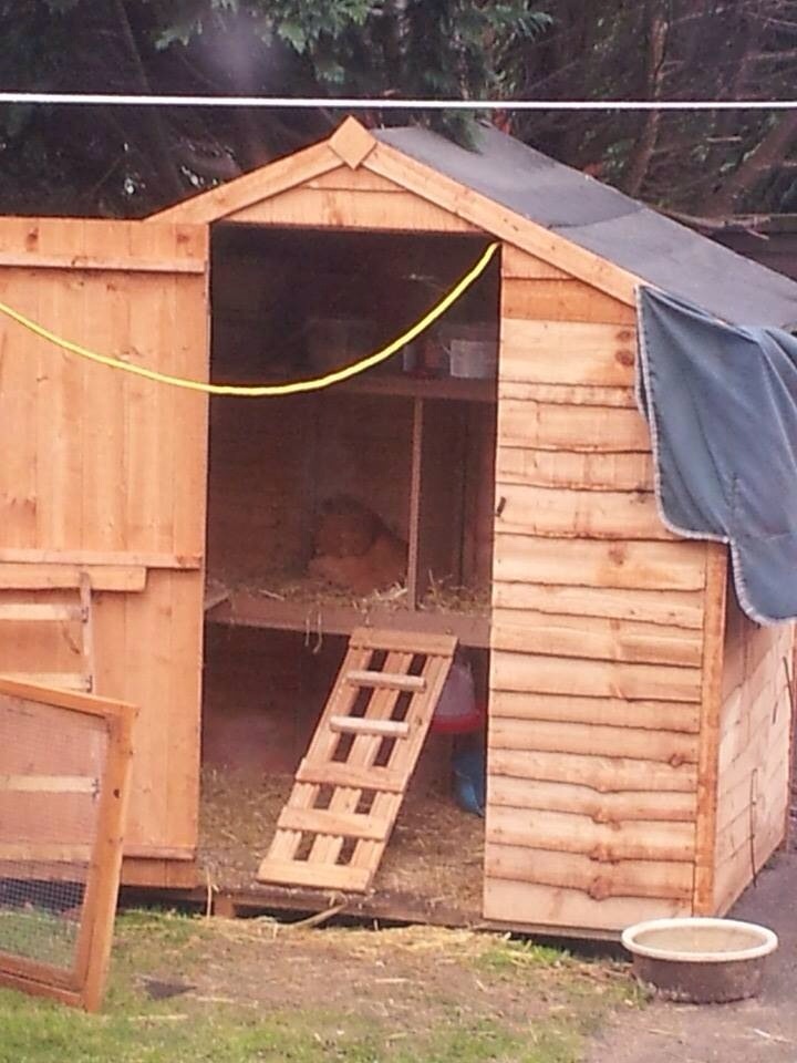 Georgina try to find her spot